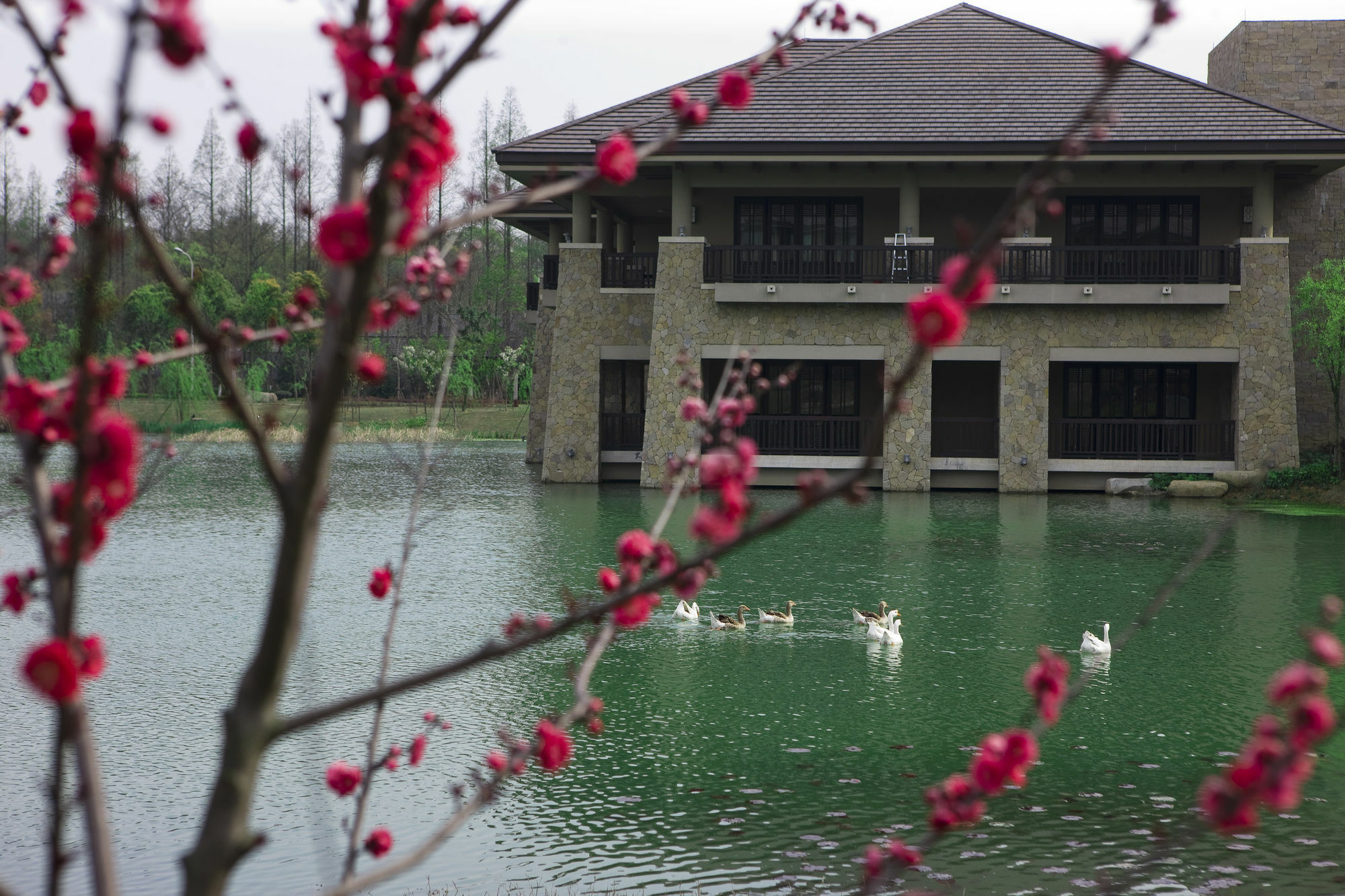 הנגז'ו Narada Resort & Spa Liangzhu מראה חיצוני תמונה